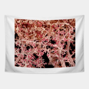 Kidney blood vessels, SEM (C022/7915) Tapestry