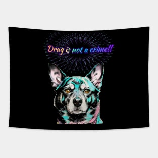 Laylah says Drag is Not A Crime Rainbow Text Tapestry