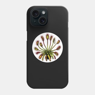 Giant Sundew Plant Beautiful Botanical Drosera Illustration Phone Case