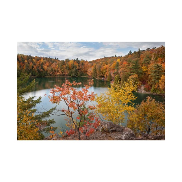 Overlooking Pink Lake by Eunice1