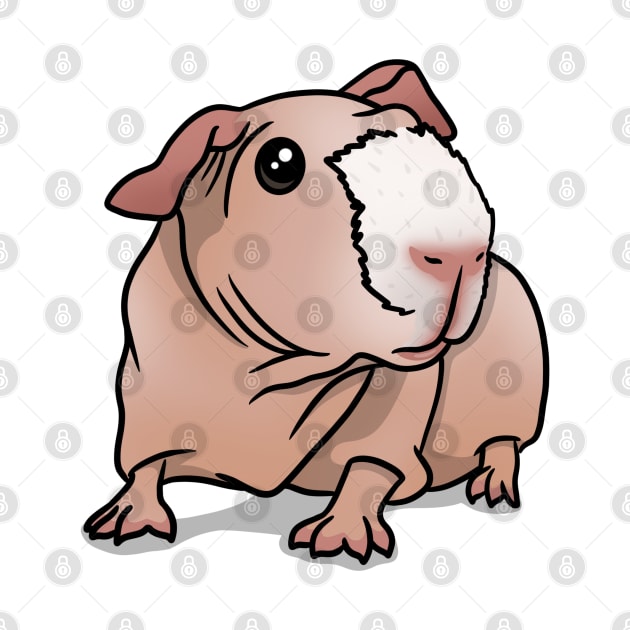 Skinny Pig Pink/White by Kats_guineapigs