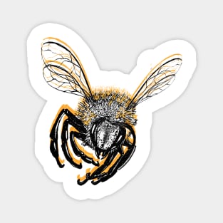 Bee🐝 Magnet