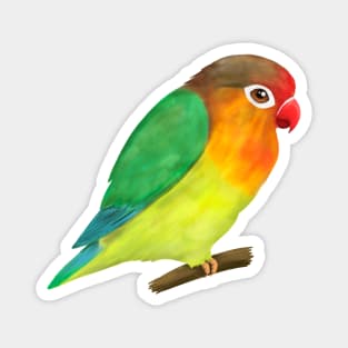 A digital drawing of a lovebird Magnet