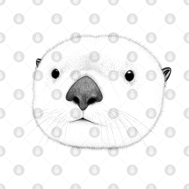 Sea Otter Face by OtterFamily