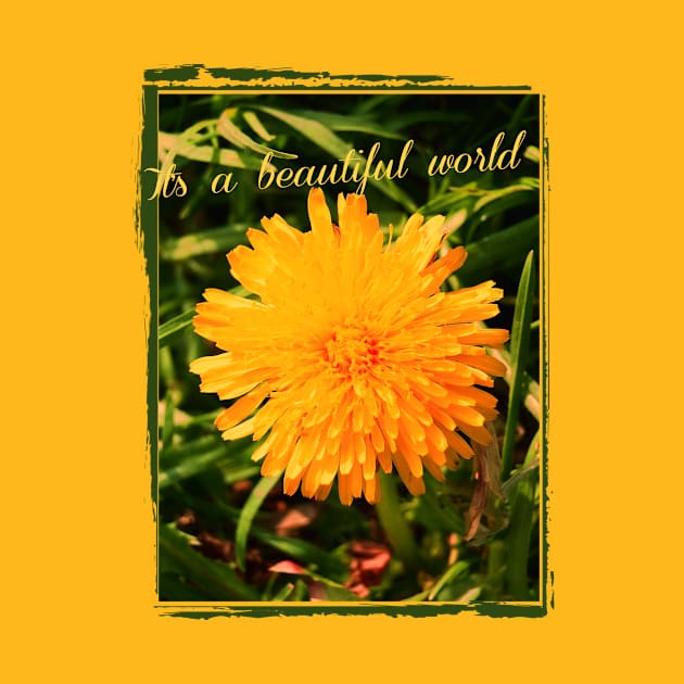 beautiful world with dandelion by Alina