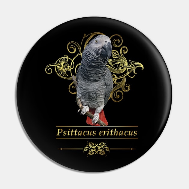 Loro gris Pin by obscurite