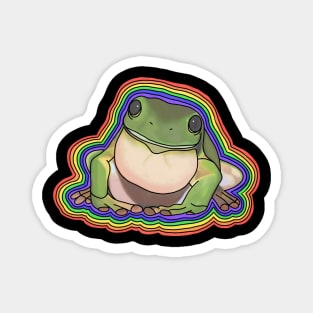 Rainbow Tree Frog // Black Magnet