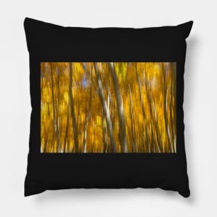 Fall Abstract III Pillow