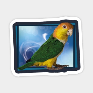 caique Magnet