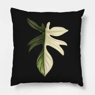 Philodendron Florida Beauty Big Leaf Pillow