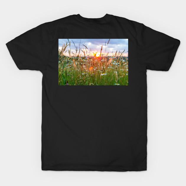 Wildflowers at Sunset - Wildflowers - T-Shirt