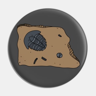 Trilobite Fossil Pin