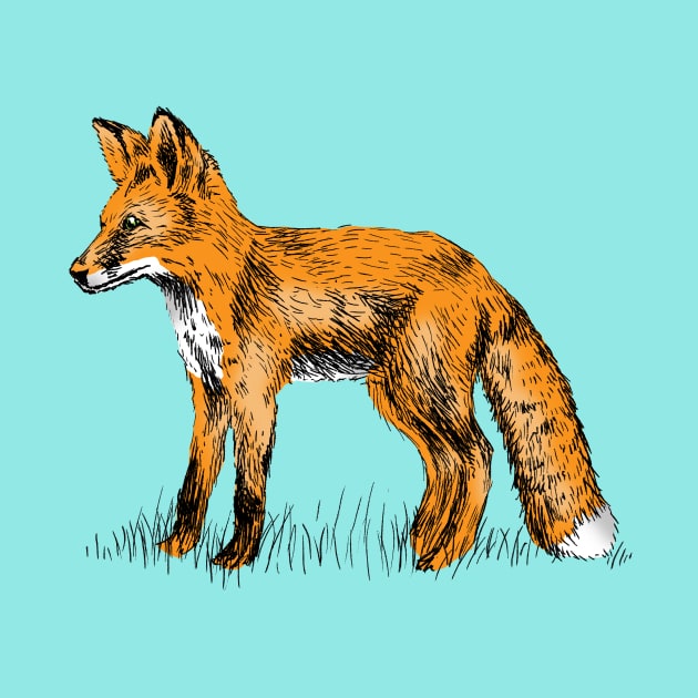 Fox Print by rachelsfinelines