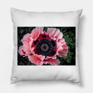 Poppy 2 Pillow