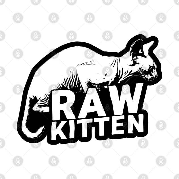 Raw Kitten 2 by  TigerInSpace