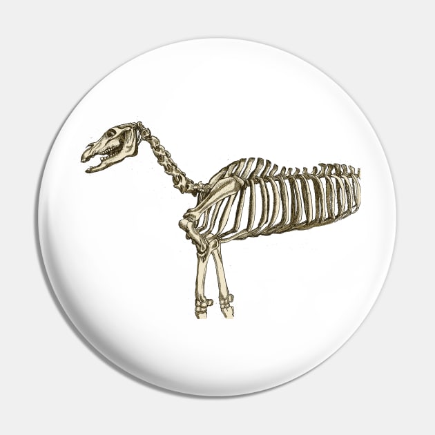 Skeleton Horse Pin by FelisSimha