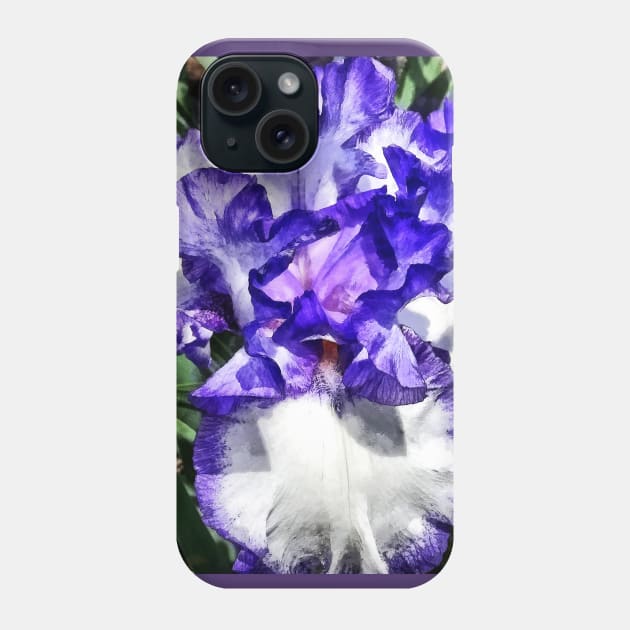 Classic Look Iris Closeup Phone Case by SusanSavad