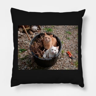 Two Cats in Garden Tub Pillow