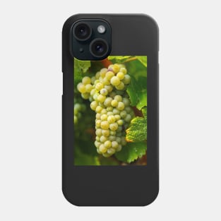 Ripening grapes on the vine Phone Case