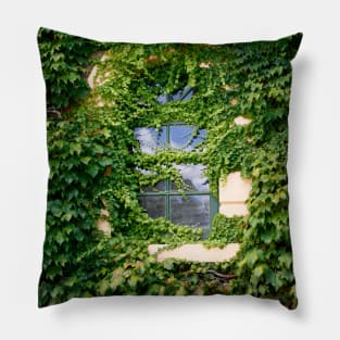 Ivy covered window Pillow