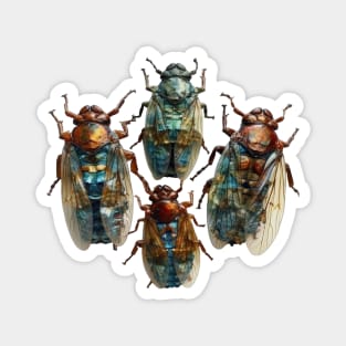 Rare Bronze Cicada Taxidermy Magnet