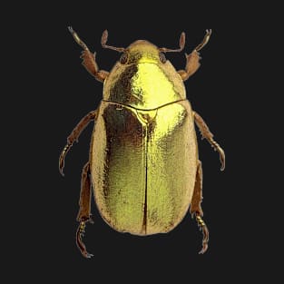 Golden Tortoise Beetle T-Shirt