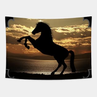 Wild Horse Tapestry