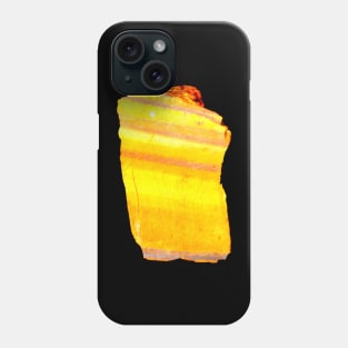 Tiger's Eye Phone Case