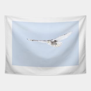 Glider - Snowy Owl Tapestry