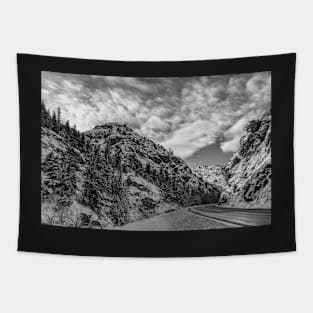 Mountain Road in Black and White Tapestry