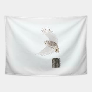 Startled - Snowy Owl Tapestry