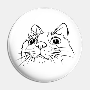 cat with big eyes Pin