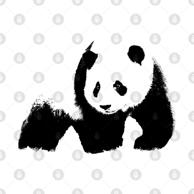 Panda pop art by phatvo