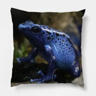 Okopipi Blue Poison Arrow or Dart Frog Pillow