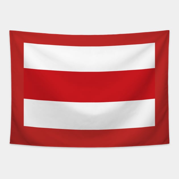 Free Belarus Flag Tapestry by soulfulprintss8