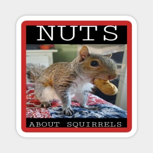 NUTS ABOUT SQUIRRELS Magnet