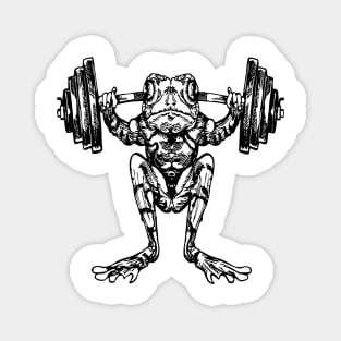 SEEMBO Frog Weight Lifting Barbells Fitness Gym Lift Workout Magnet