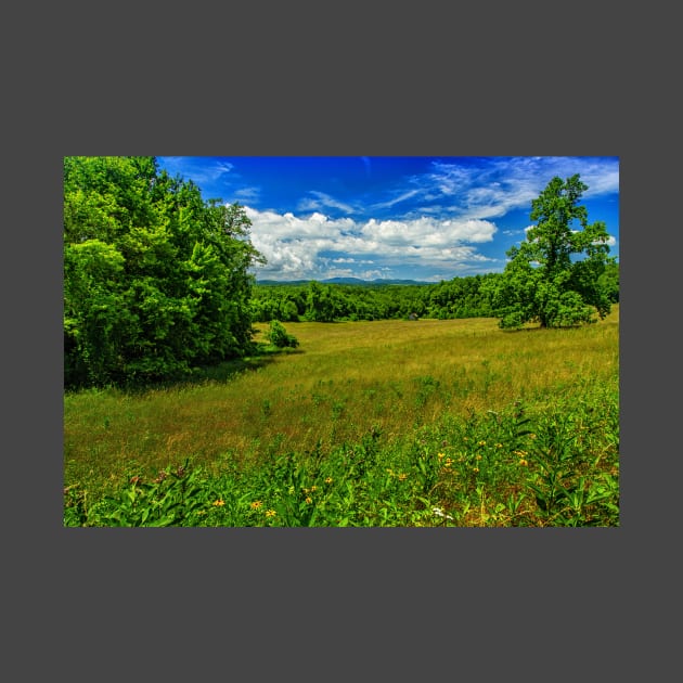 Virginia Summer Meadow by Gestalt Imagery