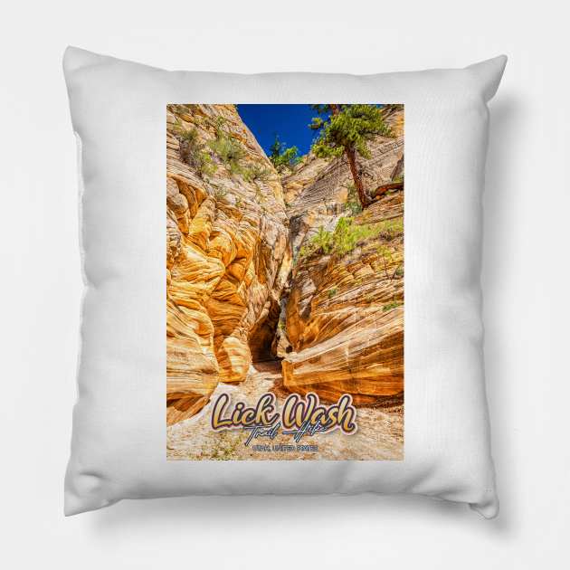 Lick Wash Trail Hike Pillow by Gestalt Imagery