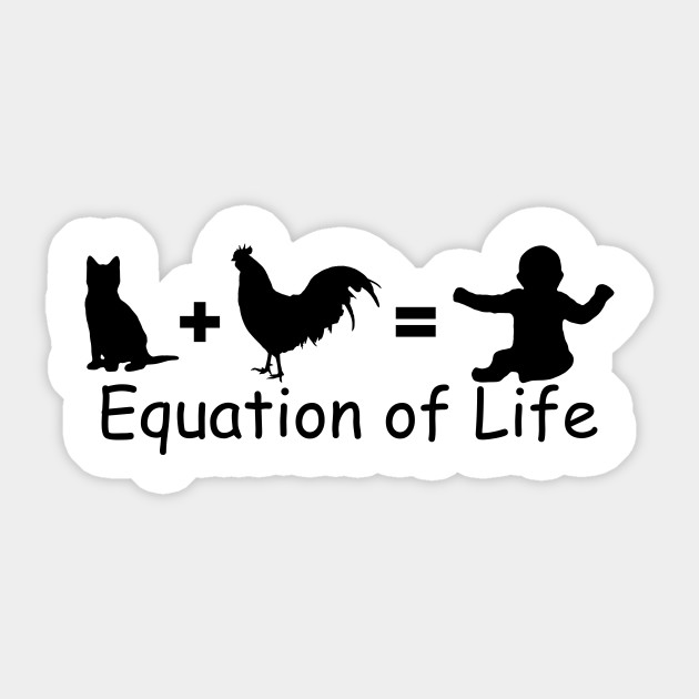 Equation Of Life
