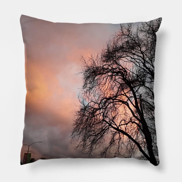 Natures Beauty Colorful Skies Photography My Pillow by ShubShank