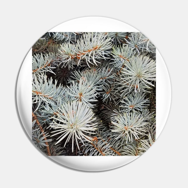 White Spruce Pin by DesignMore21