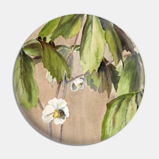 May Apple by Hannah Borger Overbeck Pin