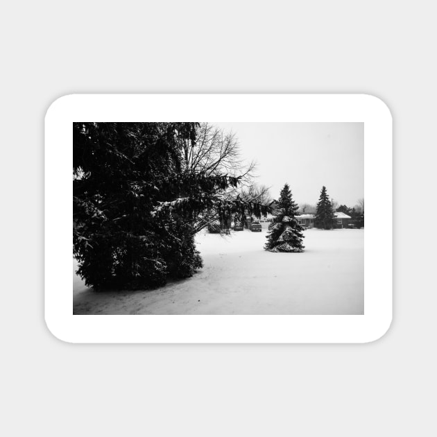 Snow Fall in Black and White Magnet by srosu