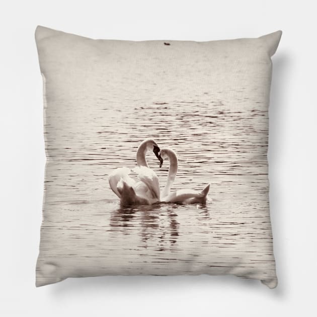 Schwäne Herz / Swiss Artwork Photography Pillow by RaphaelWolf