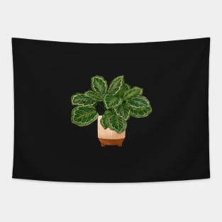 Calathea Medallion- Prayer Plant, Potted Plant Illustration Tapestry