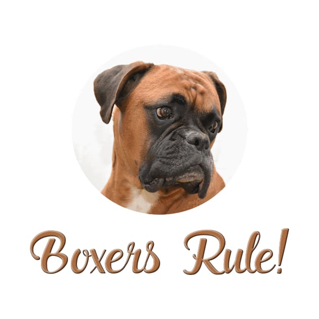 Boxers Rule! by Naves