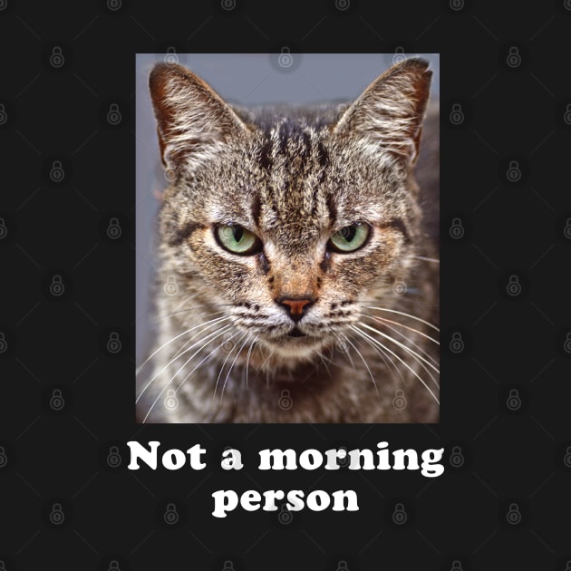 Not a Morning Person Grumpy Kitty for Men & Women by Pine Hill Goods