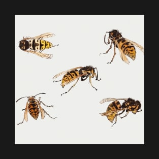 Studies of wasps by Julie de Graag (1877-1924). T-Shirt