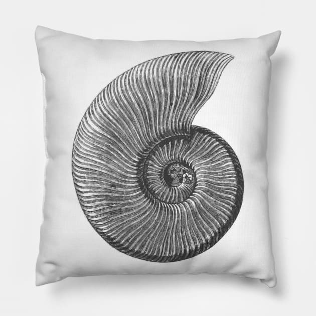 Ammonite Fossil Pillow by wanungara